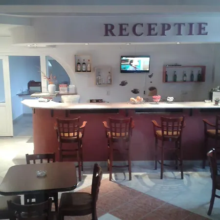 Casa de hóspedes Pensiunea Dana