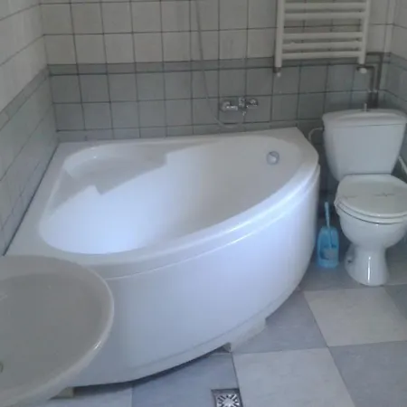 Casa de hóspedes Pensiunea Dana 2*